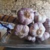 ail violet bouquet - 500 g.